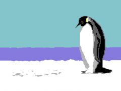 Delysid Island - Penguin