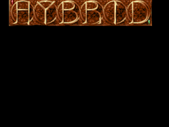 Hybrid Logo 5