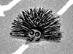 Shuriken the Hedgehog