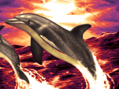 Deep Dolphin