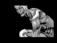 Artphosis - Muscular