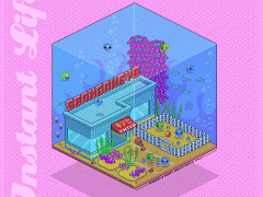 Seamonkey Nursery